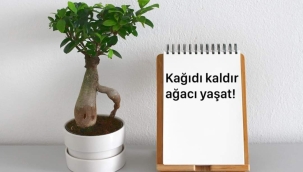 Kâğıt kullanımını tamamen devreden çıkarmak lazım