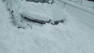 KIŞ GÜZELDİR BIR KANADA HİKAYESİ 