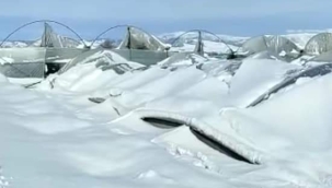 KÜRESEL ISINMA GIDAYI VURUYOR 