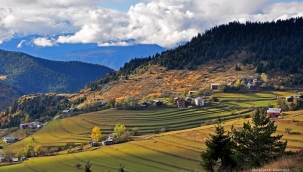 ORGANOMİNERAL GÜBRELER KULLANMAK