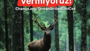 Ormanları koruyan yeni bir Orman Kanunu istiyoruz! 