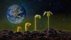 Rezonans Teknolojisi Nedir?