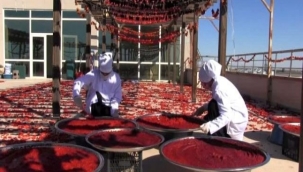 TARIM ŞEHRİ ŞANLIURFA'DA KADINLAR İŞ BAŞINDA