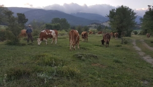 Tarımda ne yapılmasına gerektiğine dair bir rapor yayımlandı...