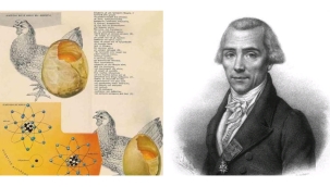 TAVUKLAR KALSİYUM MU ÜRETİR?