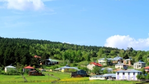 Türkiye özelinde gıda ve kırsal politikalar 