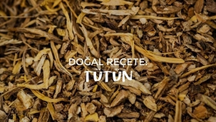 TÜTÜN TIBBİ BİR BİTKİDİR