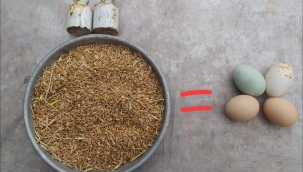 ÜRETMEYİN KARDEŞİM!