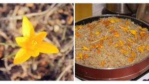 ANADOLU'NUN UNUTULMAYA YÜZ TUTMUŞ BAHARI KARŞILAMA RİTÜELLERİNDEN: ÇİĞDEM PİLAVI 