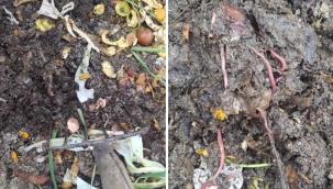 BEREKETLİ TOPRAKLARDAN ÇÖLE DOĞRU SEYAHAT