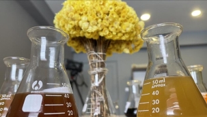 Erzurum'da yetiştirilecek bitkiler, ilaç ve kozmetik sanayisine kazandırılacak