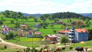 Hayvancılık Desteklemeleri Uygulama Tebliği 