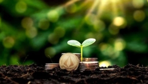 Tarım sektörünün dijital parası LYD Coin