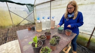 TIBBİ VE AROMATİK BİTKİ FİDESİ BULMAKTA ZORLANAN KADIN, GİRİŞİMCİ OLDU 