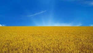 UKRAYNA KRİZİ VE DÜNYA