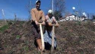 Ülkemizde en çok yetişen "artı değer" köylüdür