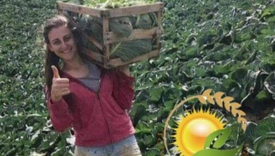 ÜRETİRSEN ÖZGÜRSÜN 