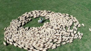 DÖNGÜSÜZ TARIM LEZZETSİZ ÜRÜN YARINSIZ ÜLKE