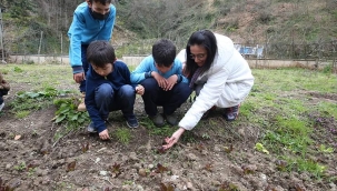 ÖĞRETMENİN 'ATA TOHUMU SEVGİSİ' ÖĞRENCİLERİNİN ELİNDE FİDEYE DÖNÜŞÜYOR 