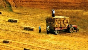 Savaş Türk tarımını olumsuz etkileyecek!