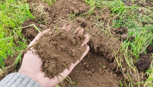 Toprağı tavında sürün!