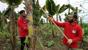 Türk Kızılayın çiftliği hem öğretiyor hem yaşatıyor