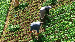 ZİRAATLA İLGİLİ HAVA TAHMİNLERİ 