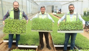 100 BİN FİDE ÖĞRENCİLER ARACILIĞI İLE ÜRETİCİLERLE BULUŞACAK