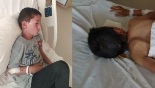 8 yaşındaki çocuğa sahipsiz köpekler saldırdı