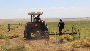 Bakan Kirişci: 205 milyon lira tarımsal hibe desteği verilecek