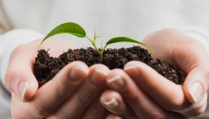 Dünya Bankası, Türkiye'nin tarım sektörüne 'yeşil büyüme' için 341 milyon dolarlık kredi sağlayacak