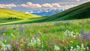 GELECEĞİN ÇİÇEKLERİNİ KOPARMAYIN