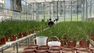 GELİŞTİRDİKLERİ ÜRÜNLE TARIMDA VERİMİ ARTIRIP, SU TÜKETİMİNİ AZALTMAYI HEDEFLİYORLAR