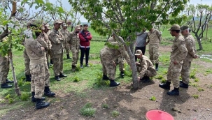 Güzel Şeyler Oluyor Memleketimizde...