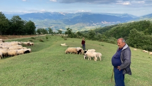 İzmir'in Çoban Haritası çıkarıldı