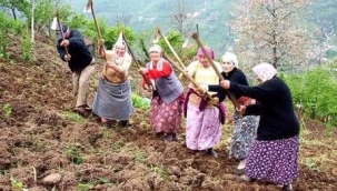 TARIM ÖNEMLİDİR. TARIM İHTİSAS İŞİDİR 