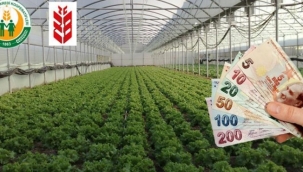 TARIMIN FİNANSMANINDA ZİRAAT BANKASI'NIN ÖNEMİ