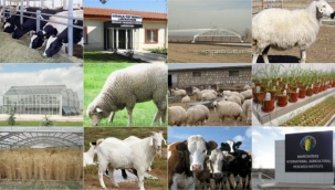 TARIMSAL ARAŞTIRMA ARAZİLERİ BETONLAŞTIRILMAK İSTENİYOR