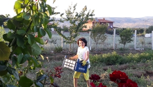 Üretmeyi Öğrenmek