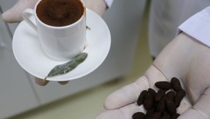 Zeytin çekirdeğinden Türk kahvesi ürettiler