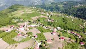 Çiftçimize müjde! 1 milyar 44 milyon liralık destek ödemesi başladı .. 