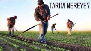 Ancak ve ancak Üreterek Kalkınabiliriz!