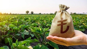 Bankalardan tarlalara kredi yağıyor