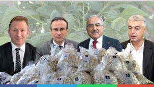 Bir fasulyeden çıkan başarı hikayesi 