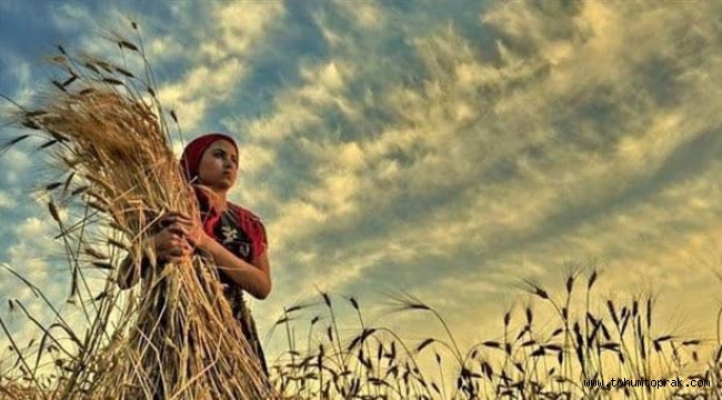 Buğdayda üretim düşmesinin ve ithalatın temel sebebi yanlış politikalardır