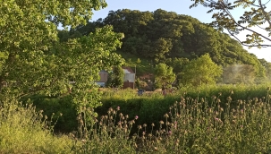 BUNLARI BİLMEDEN ARAZİ ALMAYIN 