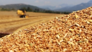 ÇİFTÇİLER BUĞDAY İÇİN İSTEDİKLERİ FİYATI BELİRLEDİLER