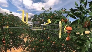 Drone İle Meyve Toplamak Mümkün Mü ?