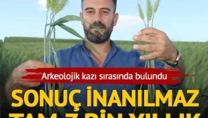 GÖRMEK İSTEYENE HER ŞEY MUCİZE!..