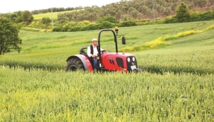 Hazine Arazisinde Çiftçilik İçin 6 Pilot İl